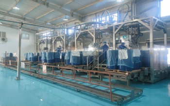 Hot Break 28-30% brix Drum Tomato Paste